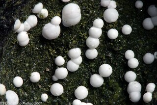 Italien/Sardinien (Sardegna), Region/Nuoro, Provinz/Noragugume