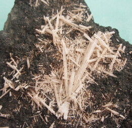 Österreich/Kärnten/Spittal an der Drau, Bezirk/Malta, Gemeinde/Dornbach, Katastralgemeinde/Koschach/Gigler Steinbruch