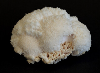 Rumänien/Maramures, Kreis/Cavnic (Kapnikbánya, Kapnik)