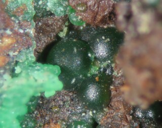 Spanien/Región de Murcia/Murcia, Provinz/Bajo Guadalentín, Comarca/Mazarrón, Municipio/Pastrana/Ramonete Prospect