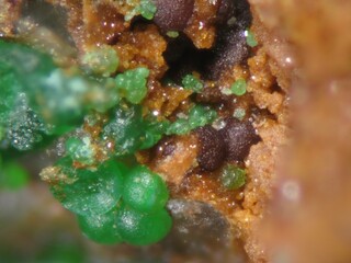 Spanien/Región de Murcia/Murcia, Provinz/Bajo Guadalentín, Comarca/Mazarrón, Municipio/Pastrana/Ramonete Prospect