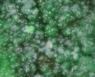 Spanien/Región de Murcia/Murcia, Provinz/Bajo Guadalentín, Comarca/Mazarrón, Municipio/Pastrana/Ramonete Prospect