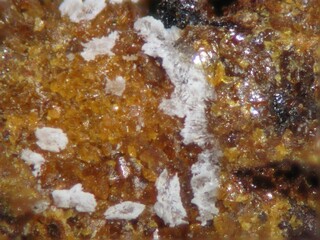 Spanien/Región de Murcia/Murcia, Provinz/Bajo Guadalentín, Comarca/Mazarrón, Municipio/Pastrana/Ramonete Prospect