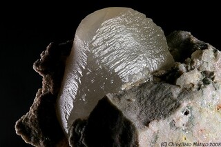 Italien/Trentino-Südtirol (Trentino-Alto Adige)/Trentino (Trient, Trento), Provinz/Mezzolombardo/Rupe