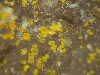 Deutschland/Baden-Württemberg/Freiburg, Bezirk/Ortenaukreis/Oberwolfach/Grube Clara