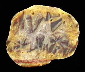 Deutschland/Sachsen/Nordsachsen, Landkreis/Wermsdorf/Luppa/Kiesgrube Luppa