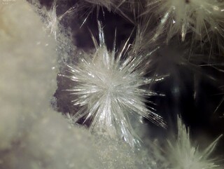 Deutschland/Bayern/Oberpfalz, Bezirk/Tirschenreuth, Landkreis/Krummennaab/Thumsenreuth/Dürrer Schlag