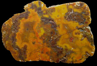 Deutschland/Nordrhein-Westfalen/Düsseldorf, Bezirk/Kleve, Kreis/Goch/Kessel/Kiesgrube GMG