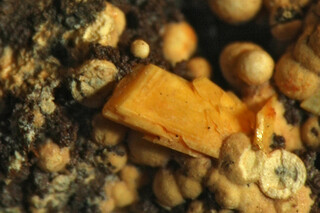 Deutschland/Sachsen/Erzgebirgskreis/Schneeberg, Lagerstätte/Ritterzeche