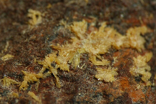 Deutschland/Sachsen/Erzgebirgskreis/Schneeberg, Lagerstätte/Ritterzeche