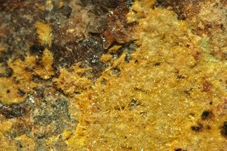 Deutschland/Sachsen/Erzgebirgskreis/Schneeberg, Lagerstätte/Ritterzeche