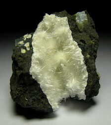 Deutschland/Hessen/Darmstadt, Bezirk/Wetteraukreis/Nidda/Ober-Widdersheim/Steinbruch Nickel (Ober-Widdersheim)