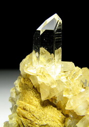 Deutschland/Nordrhein-Westfalen/Detmold, Bezirk/Lippe, Kreis/Extertal, Gemeinde