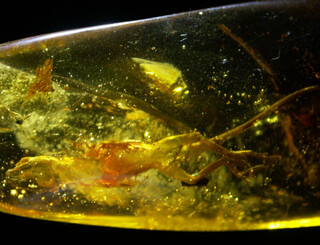 Kolumbien/Santander, Departamento/Vélez