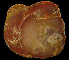 Deutschland/Nordrhein-Westfalen/Niederrhein