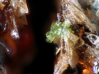 Tschechien/Karlovarský kraj (Karlsbad)/Sokolov, Okres (Falkenau)/Horní Slavkov, Obec (Schlaggenwald, Gemeinde)/Krásno, Město (Schönfeld)/Huberstock (Hubr; Huber open pit; Hubský peň)