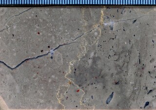 Mineralienatlas Lexikon - Kalkstein