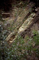 Deutschland/Sachsen/Mittelsachsen, Landkreis/Freiberg, Revier/Halsbrücke