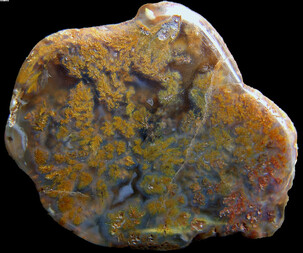 Deutschland/Nordrhein-Westfalen/Niederrhein