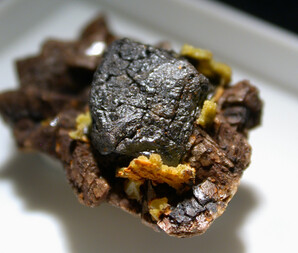 Deutschland/Hessen/Darmstadt, Bezirk/Main-Kinzig-Kreis/Freigericht/Altenmittlau/Steinbruch Schmitt