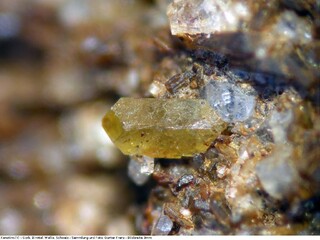 Schweiz/Wallis, Kanton/Goms, Bezirk/Binntal/Binn/Lercheltini-Gebiet (Lärcheltini)/Gorb