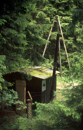 Deutschland/Sachsen-Anhalt/Harz, Landkreis/Oberharz am Brocken, Stadt/Elbingerode/Schävenholz