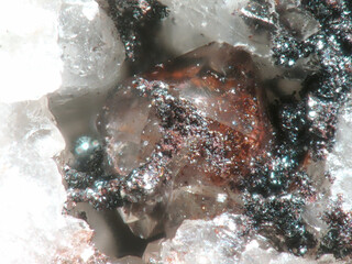 Deutschland/Rheinland-Pfalz/Donnersbergkreis/Kirchheimbolanden, Verbandsgemeinde/Bolanden, Gemeinde/Giro am Mannbühl