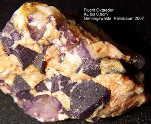 Deutschland/Sachsen/Erzgebirgskreis/Marienberg, Revier/Wolkenstein/Gehringswalde/Grube Palmbaum (Schacht 46)