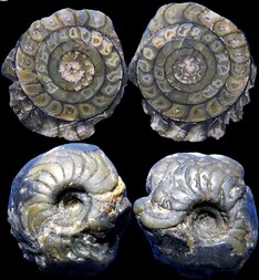 Deutschland/Nordrhein-Westfalen/Niederrhein