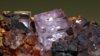 <small><b>Fluorit mit Goethit</b></small><br/><small>Fundort: Grube Clara, Kinzigtal, Schwarzwald, Deutschland; Bildbreite: ca. 25 mm</small><br/><small><i>Copyright:</i> René Gervers (Klinoklas); <i>Beitrag:</i> Klinoklas</small><br/><small><i>Sammlung:</i> René Gervers (Klinoklas)</small><br/><small><i>Bild:</i> 1237501594</small><br/><small><a target="_blank" href="/viewF.php?param=1237501594" title="Bild in Originalgröße betrachten" >Originalgröße</a></small> - <small>		<a href="/lexikon/addons/rate.php?id=71080" class="highslide"		onclick="return hs.htmlExpand(this,		{objectType: 'iframe',		outlineType: 'rounded-white',		preserveContent: false,		width: 400,		height:100,		wrapperClassName: 'highslide-wrapper drag-header'		})">Bewerten</a></small> - <small><a target="_blank" href="/lexikon/index.php/Bildanzeige?pict=1237501594" title="Wo wurde das Bild eingesetzt, Link für das Forum, EXIF Informationen, Panoramaviewer, Bildbewertung für angemeldete Benutzer" >Zusatzinfo</a></small> - <small><a target="_blank" href="/lexikon/index.php/MedienDatenBearbeiten?pictureid=NzEwODA=">Bearbeiten</a></small>