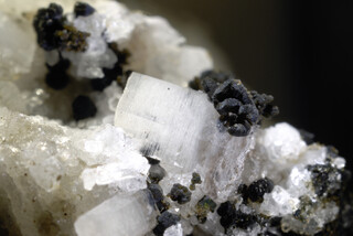 Österreich/Salzburg/Zell am See, Bezirk (Pinzgau)/Neukirchen am Großvenediger, Marktgemeinde/Sulzau, Katastralgemeinde/Obersulzbachtal/Hopffeldboden