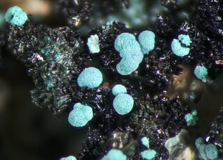 USA/Arizona/Coconino County/Grandview District/Grand Canyon National Park/Horseshoe Mesa/Grand View Mine & Last Chance Mine