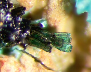 USA/Arizona/Coconino County/Grandview District/Grand Canyon National Park/Horseshoe Mesa/Grand View Mine & Last Chance Mine