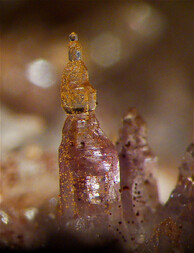 Mexiko/Chiapas, Estado/Aldama, Municipio/Aldama