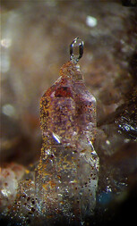 Mexiko/Chiapas, Estado/Aldama, Municipio/Aldama