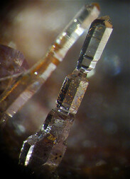 Mexiko/Chiapas, Estado/Aldama, Municipio/Aldama