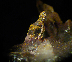 Mexiko/Chiapas, Estado/Aldama, Municipio/Aldama