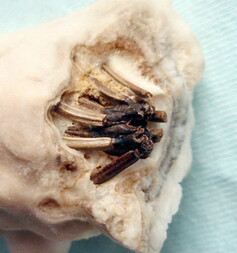 Österreich/Steiermark/Leoben, Bezirk/Eisenerz/Erzberg