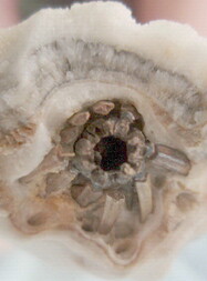 Österreich/Steiermark/Leoben, Bezirk/Eisenerz/Erzberg