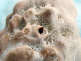 Österreich/Steiermark/Leoben, Bezirk/Eisenerz/Erzberg