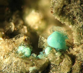 Österreich/Burgenland/Oberpullendorf, Bezirk/Markt St. Martin/Landsee/Pauliberg