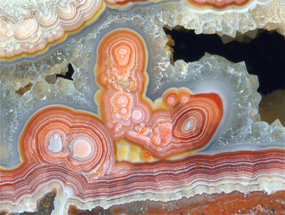 Mexiko/Chihuahua, Estado/Buenaventura, Municipio/Sierra Santa Lucia