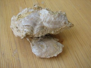 Deutschland/Baden-Württemberg/Stuttgart, Bezirk/Heidenheim, Landkreis/Heidenheim an der Brenz/Schnaitheim/Steinbruch Moldenberg