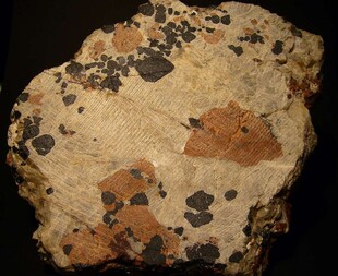 USA/New Jersey/Sussex County/Franklin Mining District