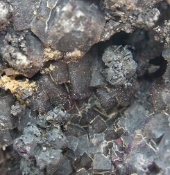 Deutschland/Sachsen/Erzgebirgskreis/Ehrenfriedersdorf, Stadtgemeinde/Grube Sauberg