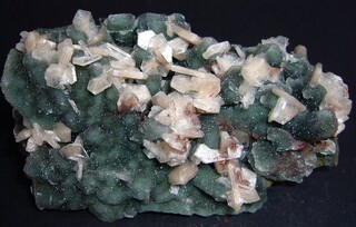 Indien/Maharashtra/Jalgaon, Distrikt