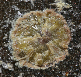 Deutschland/Sachsen/Erzgebirgskreis/Raschau-Markersbach/Langenberg/Graul/Grube Gottes Geschick