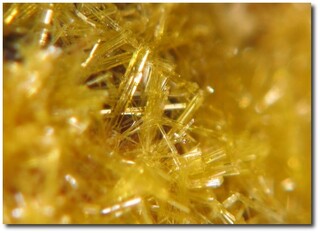 Frankreich/Auvergne-Rhône-Alpes, Région/Loire, Département/Roanne, Arrondissement/Saint-Priest-la-Prugne/Les Bois-Noirs, Bergbaurevier/Bois Noirs Limouzat (Ancienne Mine, BN 3, BN 5, BN 6, Le Forez, Les Bois Noirs Mine)