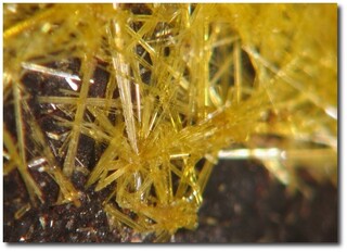 Frankreich/Auvergne-Rhône-Alpes, Région/Loire, Département/Roanne, Arrondissement/Saint-Priest-la-Prugne/Les Bois-Noirs, Bergbaurevier/Bois Noirs Limouzat (Ancienne Mine, BN 3, BN 5, BN 6, Le Forez, Les Bois Noirs Mine)