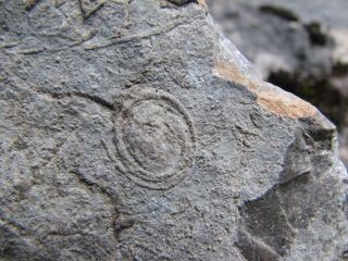 Deutschland/Bayern/Schwaben, Bezirk/Oberallgäu, Landkreis/Obermaiselstein/Hirschsprung